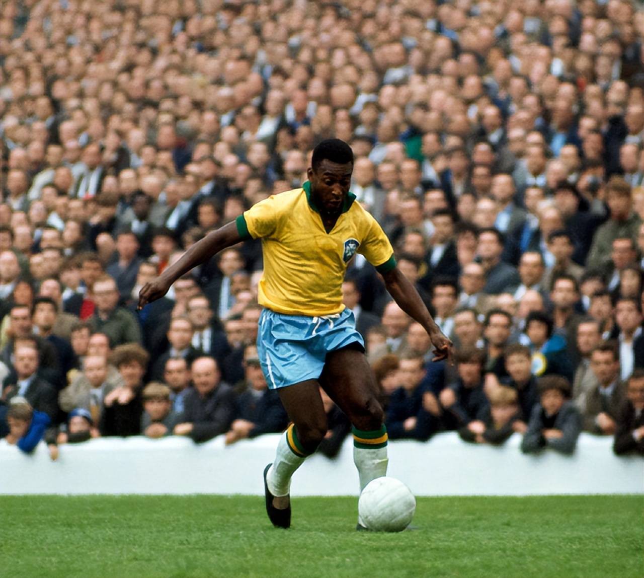 设双主会场，2026年全国新年登高健身大会举行